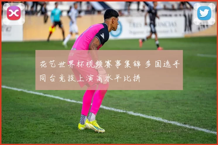 花艺世界杯视频赛事集锦 多国选手同台竞技上演高水平比拼